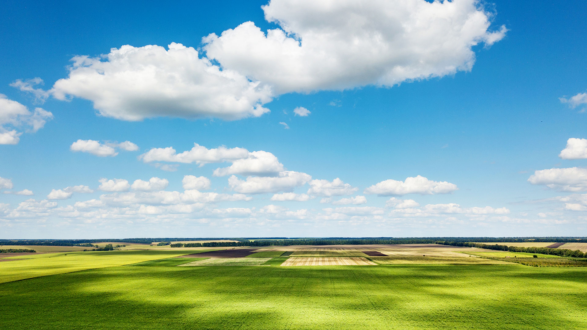 德青源在全國(guó)布局30個(gè)國(guó)際標(biāo)準(zhǔn)的自有生態(tài)農(nóng)場(chǎng)